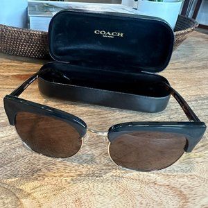Coach Women's Sunglasses HC8309 L1162